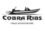 Αρχική 11 Cobra